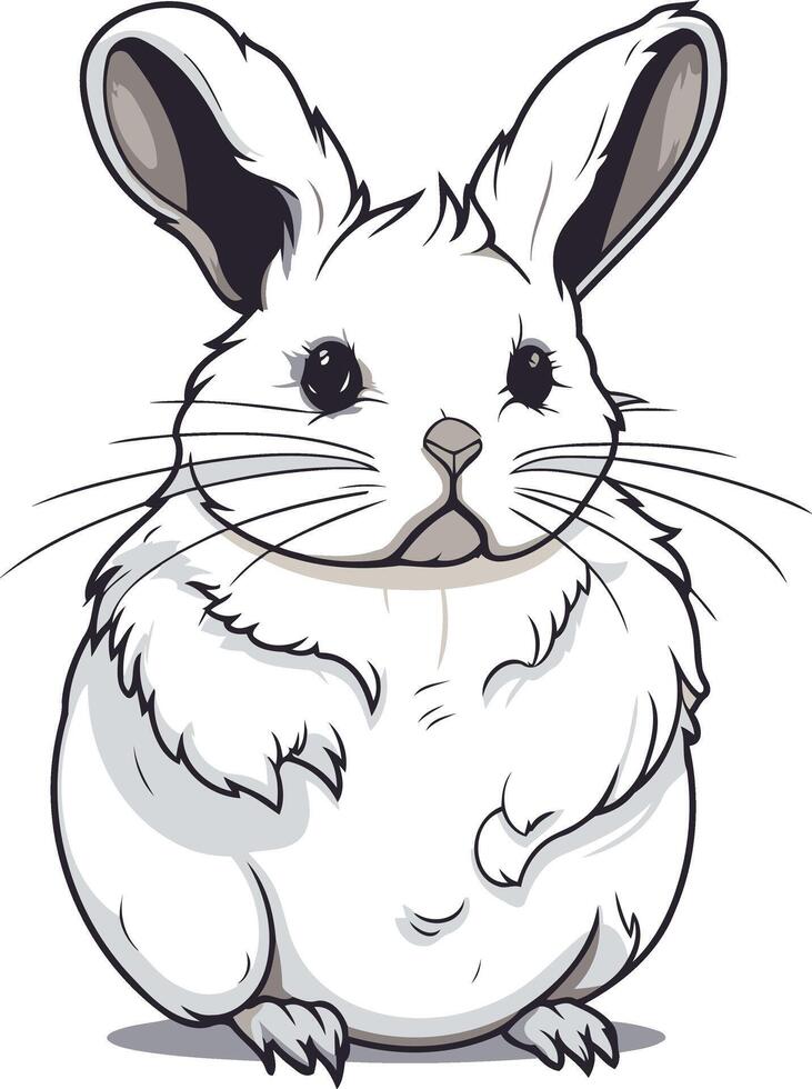A Cartoon Illustration of a White Chinchilla vector