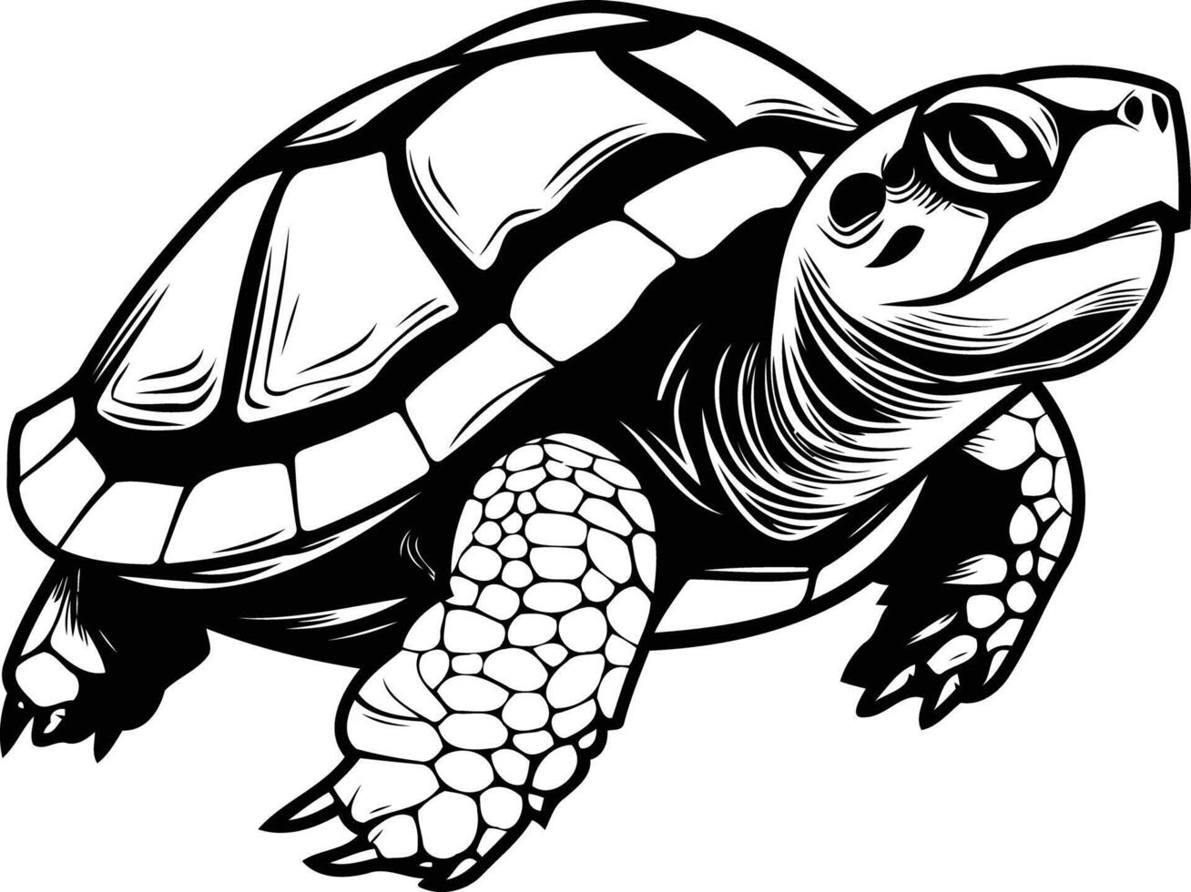 A detailed black and white illustration of a turtle with its shell facing forward vector