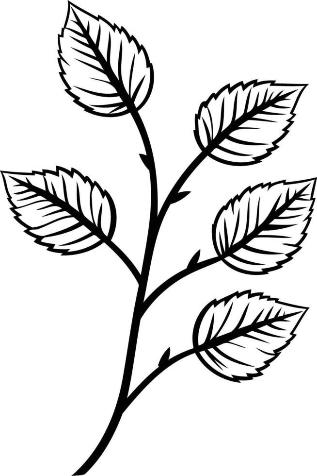Simple black and white illustration of a delicate branch with five leaves vector