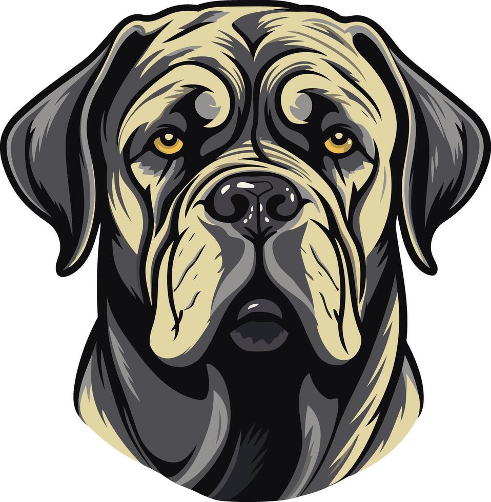 Close-up Portrait of a Bullmastiff vector