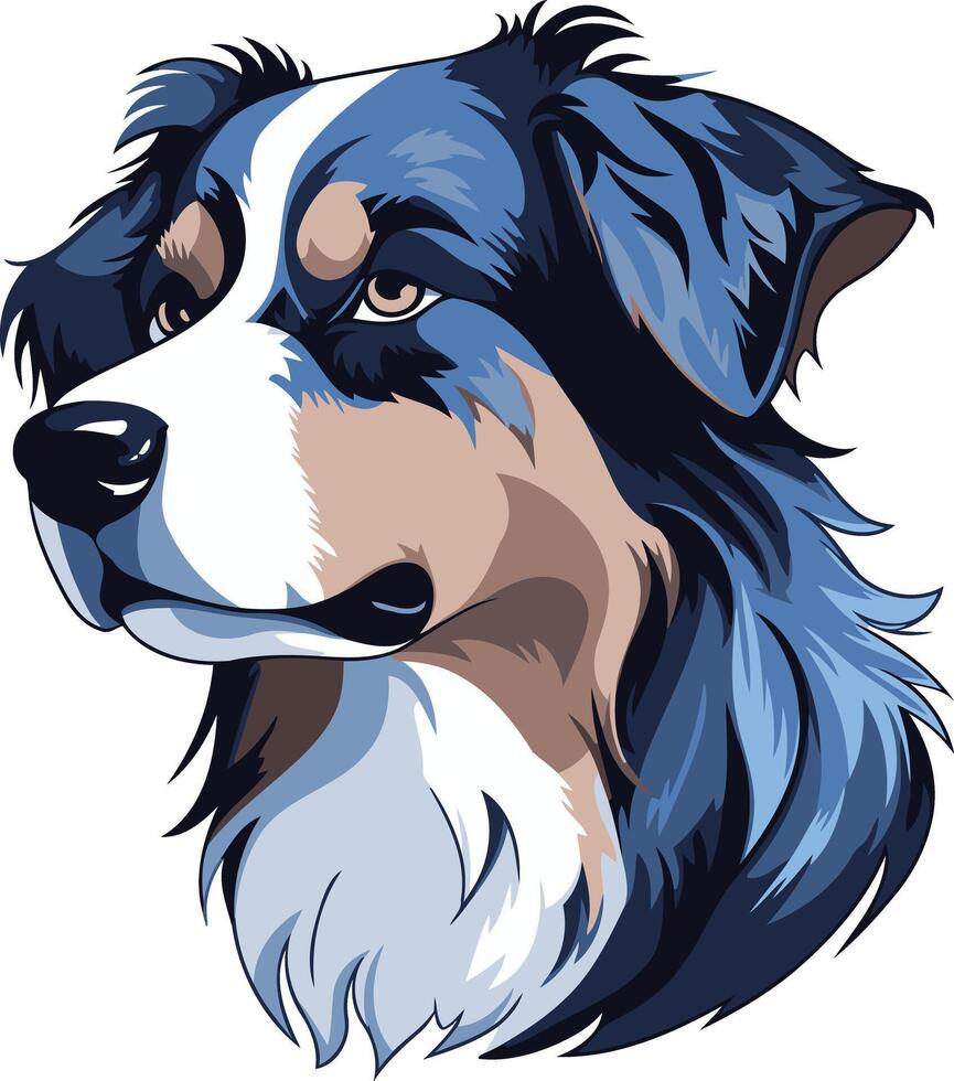 Australian Shepherd Portrait vector