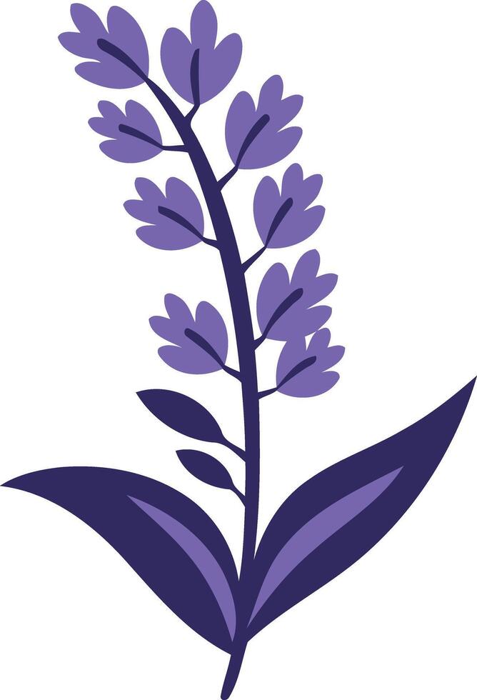 A simple yet elegant illustration of a purple lavender flower vector