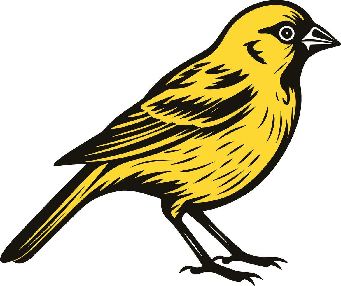 Yellow Bird Illustration vector