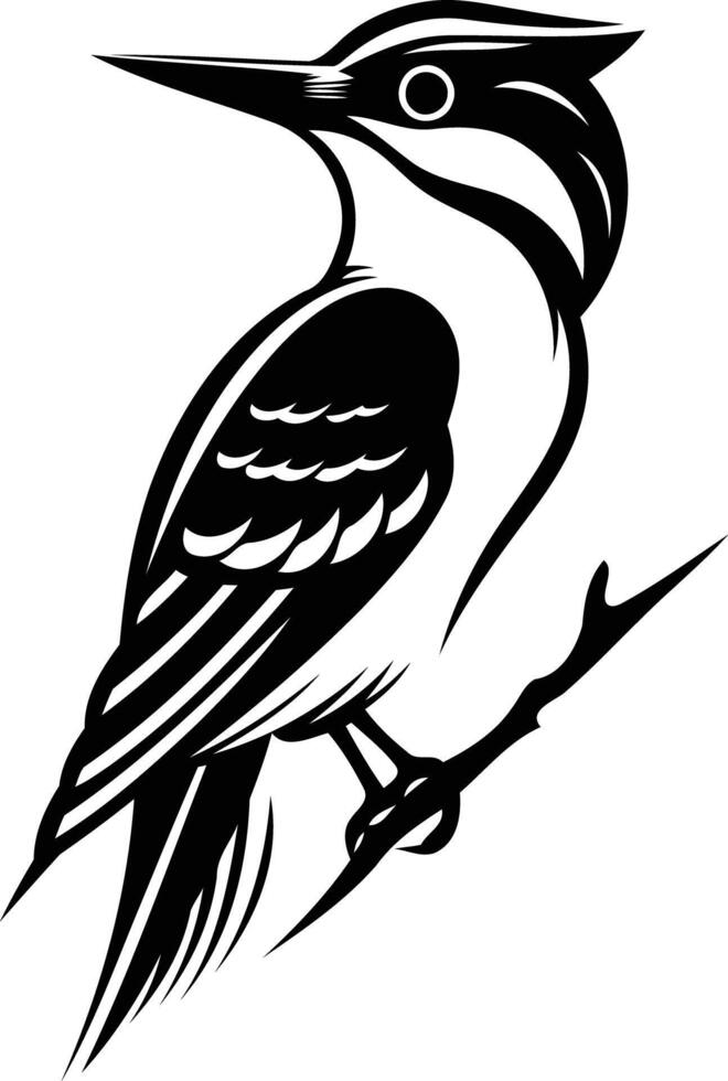 A striking black and white illustration of a woodpecker perched on a branch vector