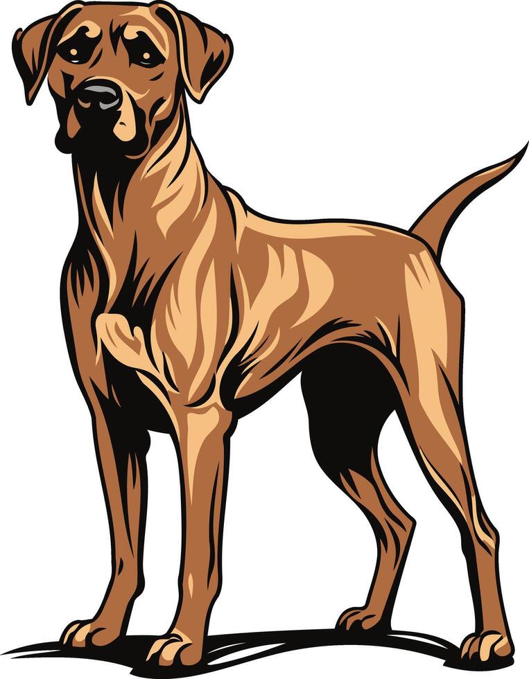 Illustration of a Brown Rhodesian Ridgeback vector