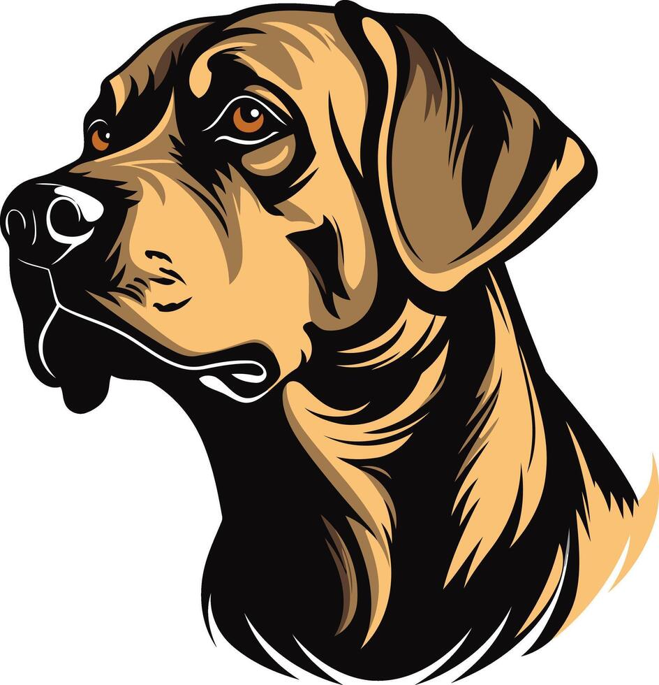 Portrait of a Dog with a Serious Gaze vector