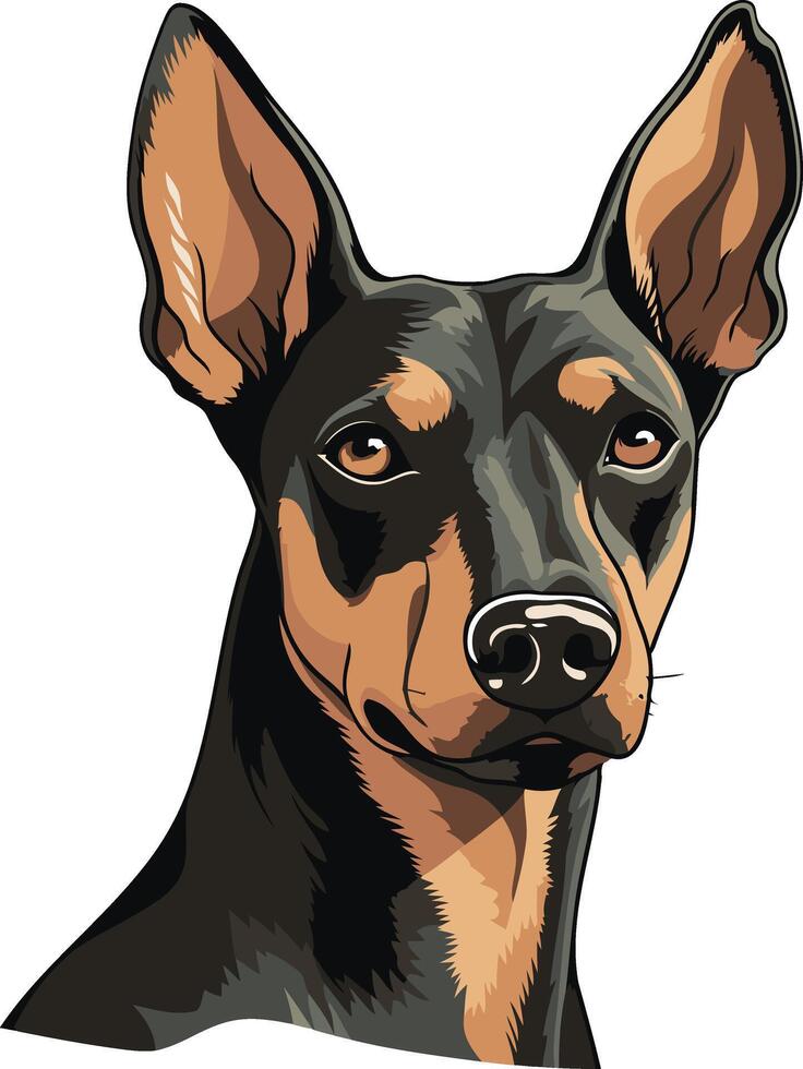 Portrait of a Miniature Pinscher vector