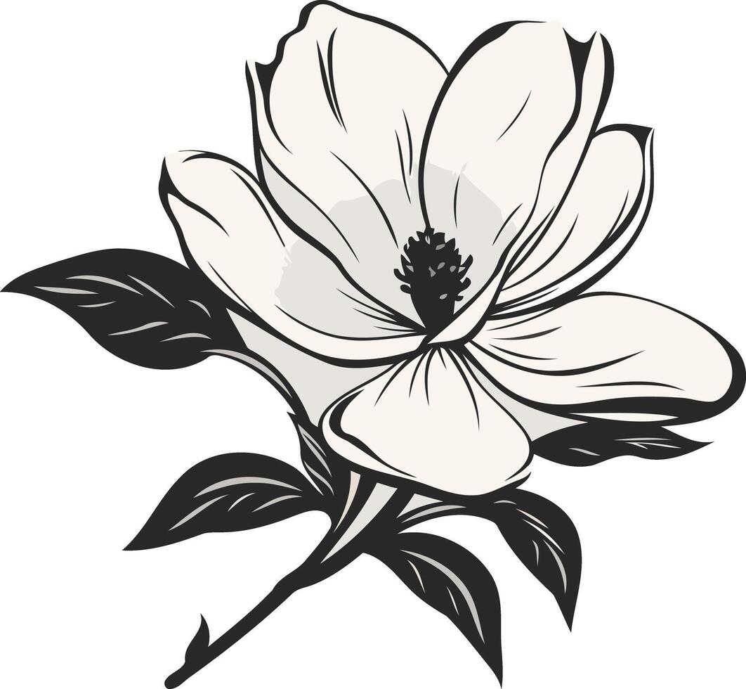 Black and White Magnolia Flower Illustration vector