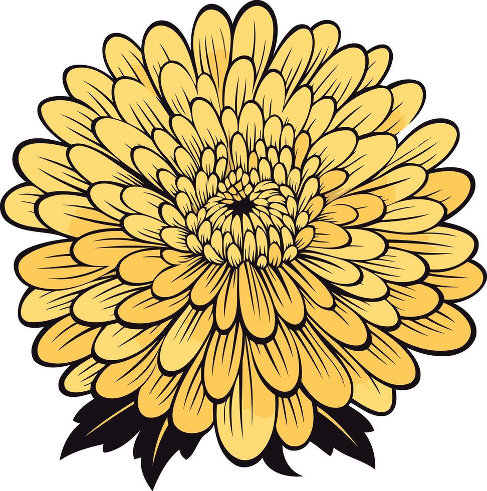 Golden Chrysanthemum Bloom Illustration vector
