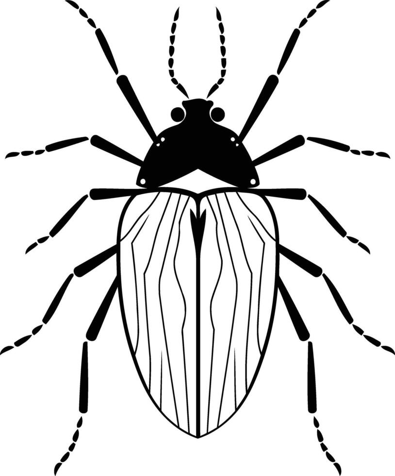 A detailed black and white illustration of a beetle with a segmented body and long, spiky legs vector