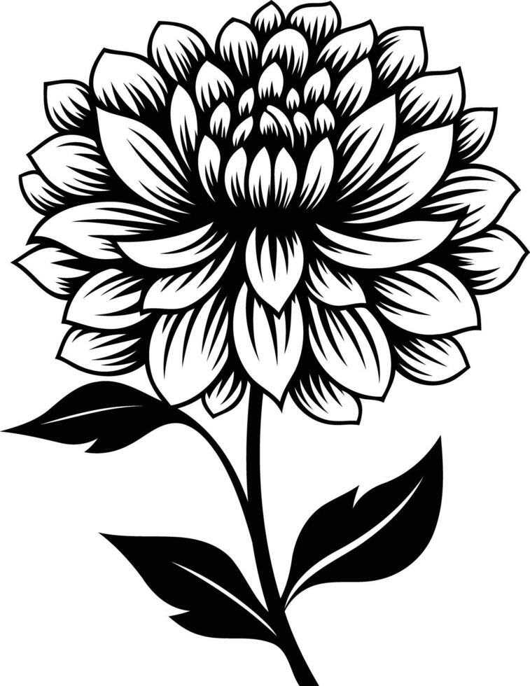 Elegant black and white illustration of a single dahlia flower vector