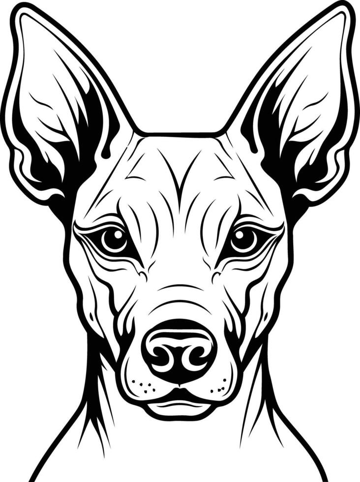 Black and white line art portrait of a xoloitzcuintli dog, showcasing its distinctive features and captivating gaze vector