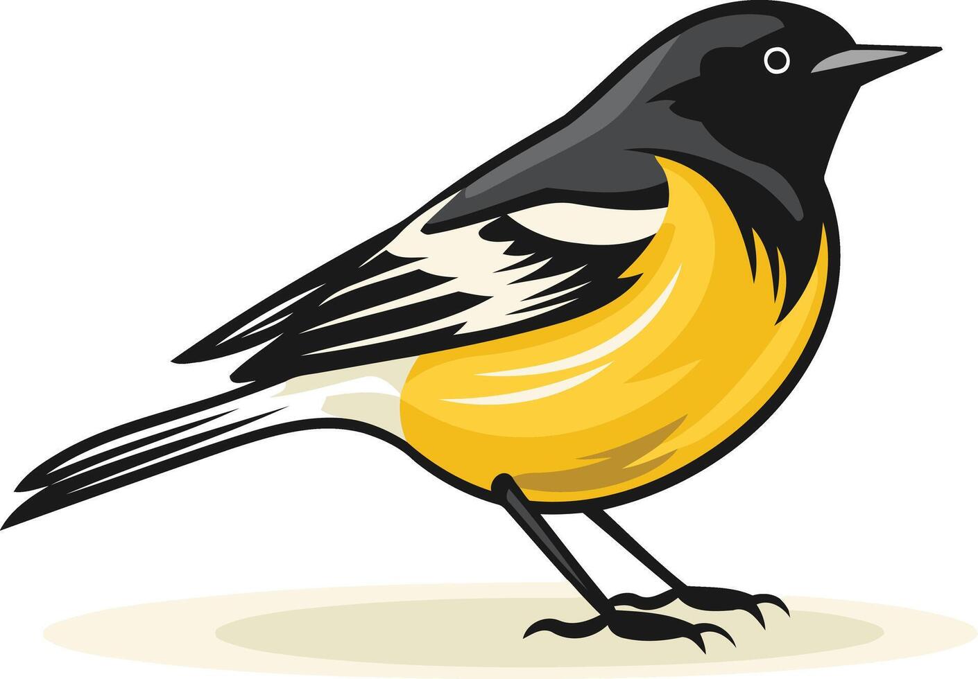 Illustration of a Baltimore Oriole vector