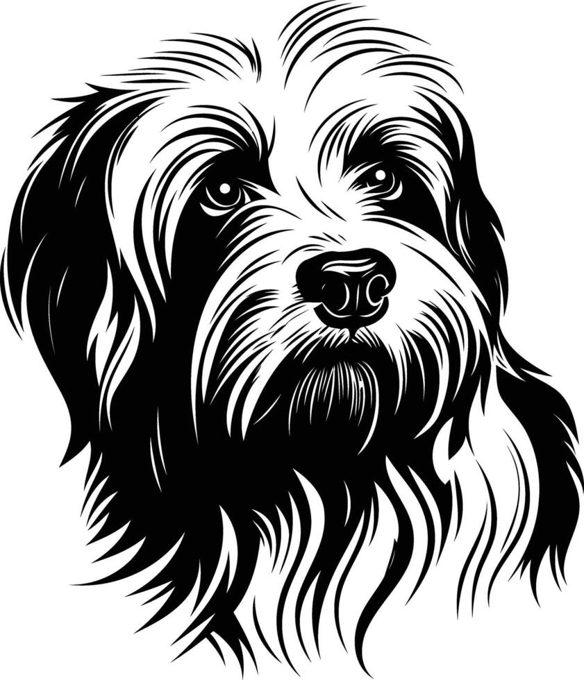 Black and white illustration of a cute, fluffy dog breed with a sweet, soulful expression vector