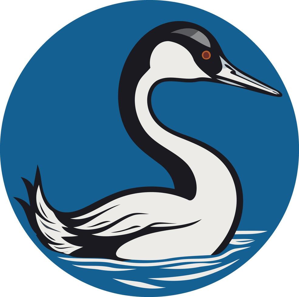 A simple, bold illustration of a black necked grebe swimming in blue water vector
