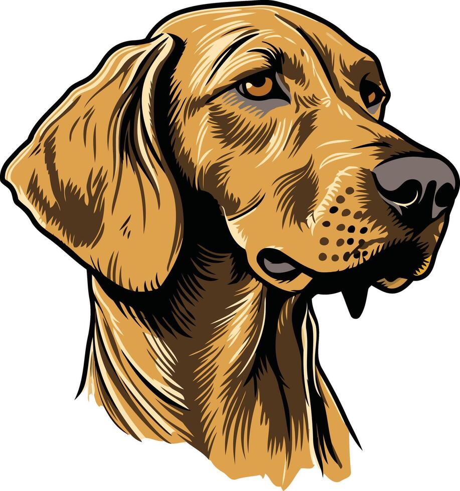 Portrait of a Brown Dog vector