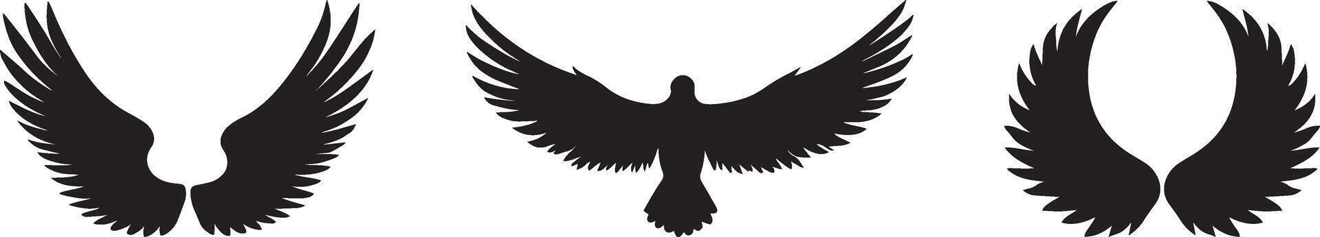 a set of four different wings with different shapes vector
