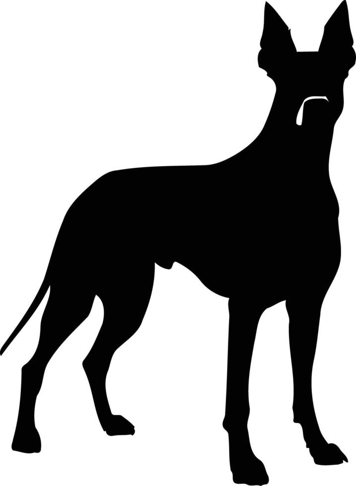 A simple yet elegant black silhouette of a dog standing in profile vector