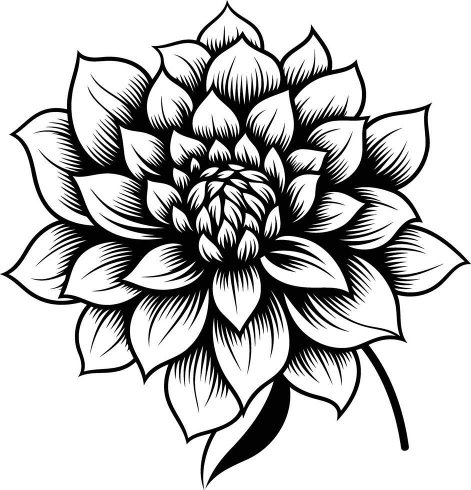 Elegant black and white illustration of a blooming flower vector