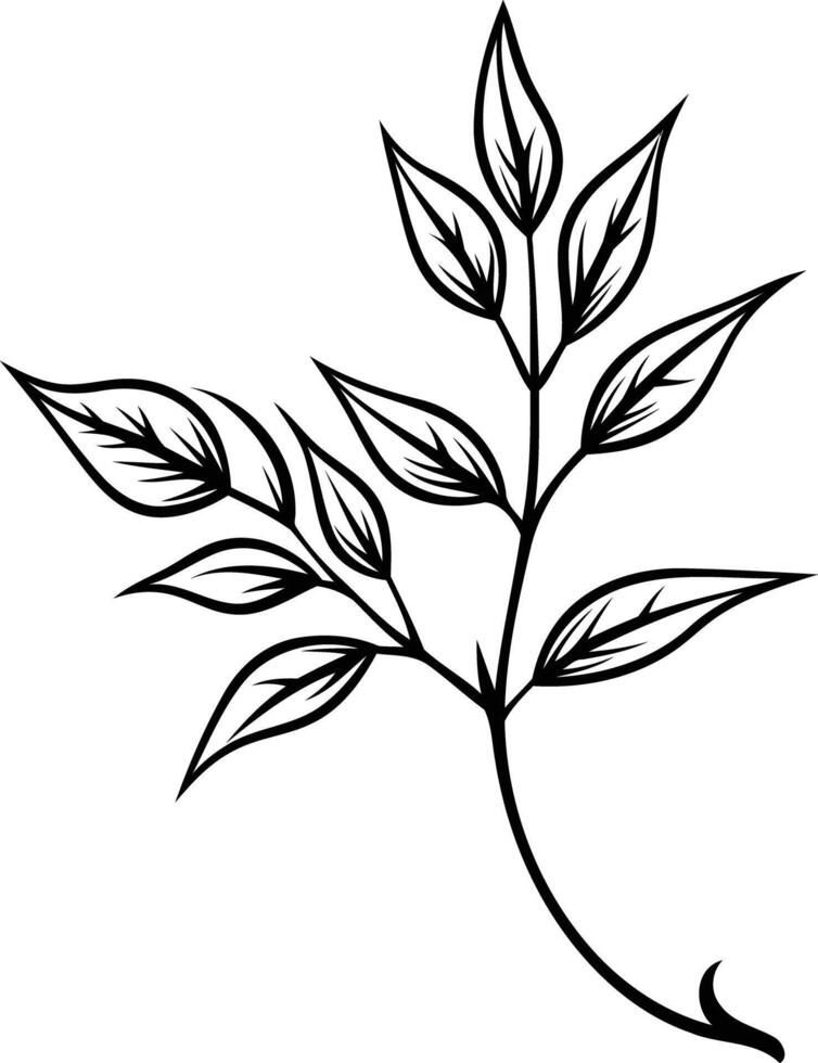 Simple and elegant black line drawing of a delicate leafy branch, perfect for minimalist designs, tattoos, or branding vector