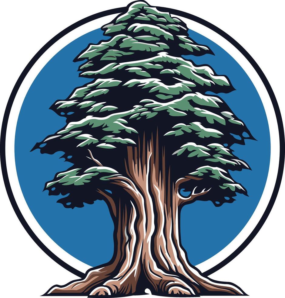 Majestic Cedar Tree with Blue Background vector