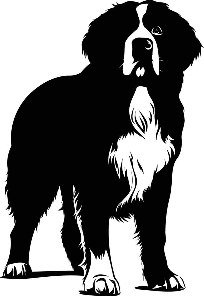 A striking black and white silhouette of a bernese mountain dog, standing proud and looking upwards vector