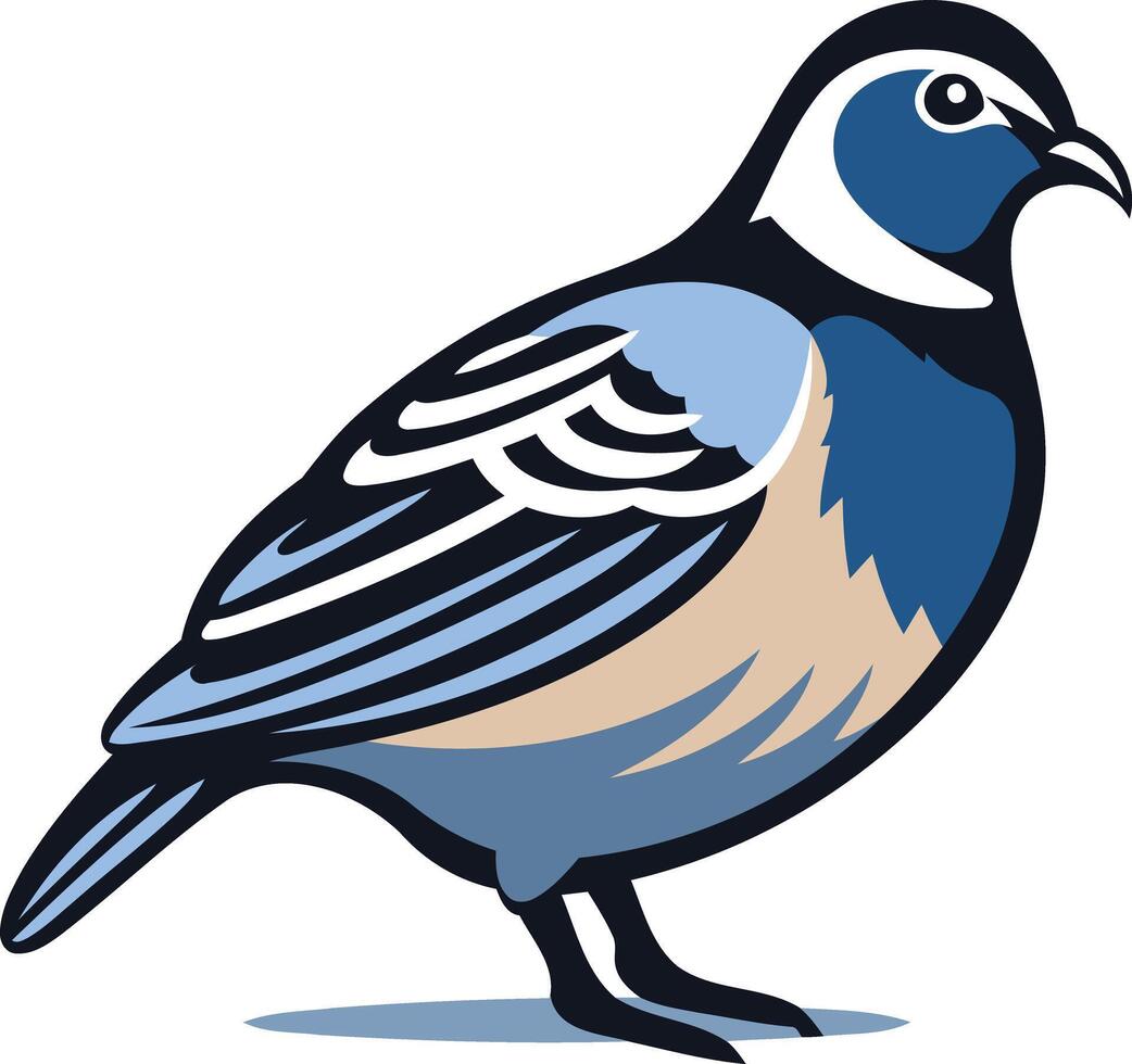 Blue and White Quail Bird Illustration vector