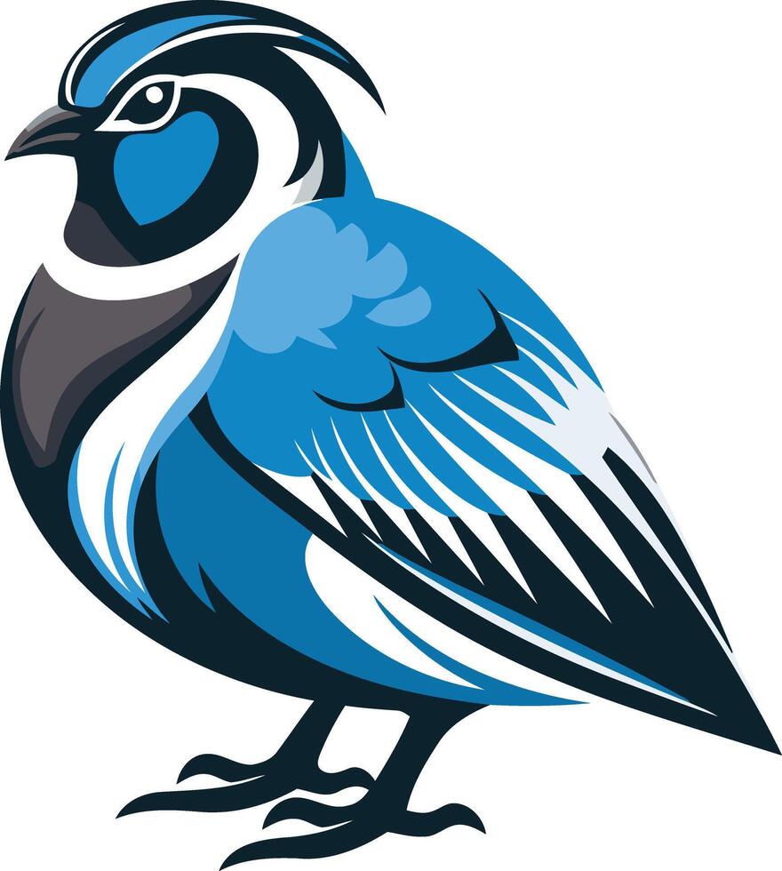 Blue Quail Illustration vector