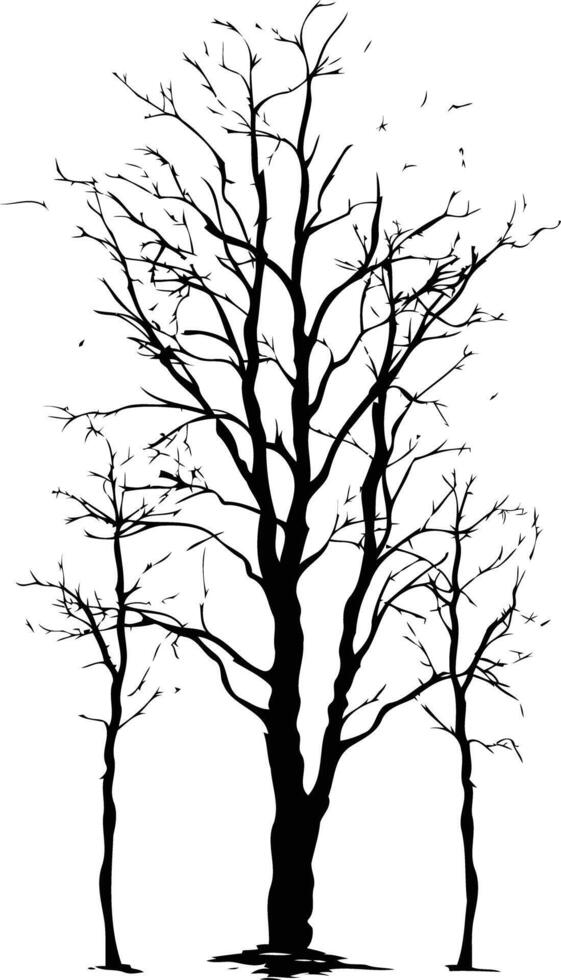 Simple black and white silhouette of a tree with bare branches against a white background vector