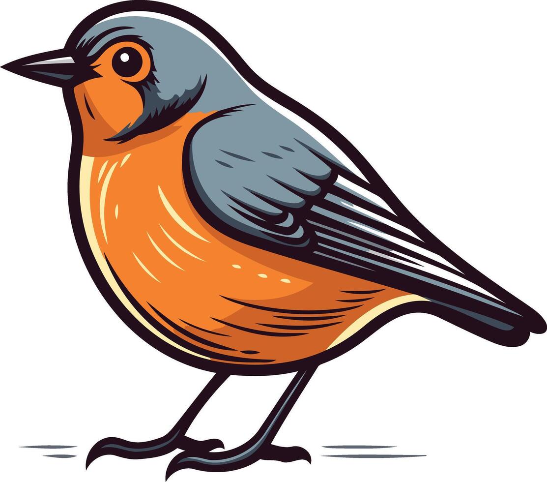 Bird With Orange Breast