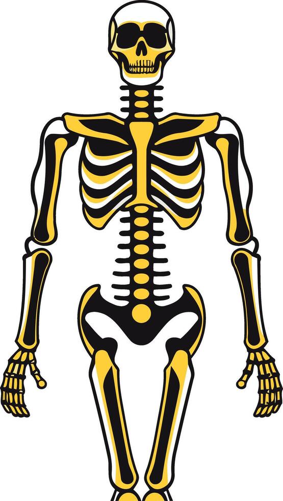 Cartoon Skeleton Illustration vector