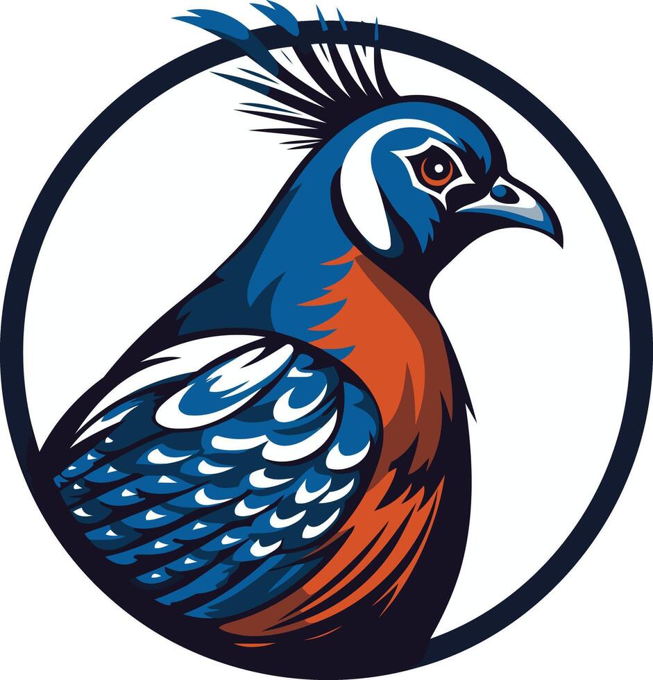 Blue and Orange Pheasant Illustration vector