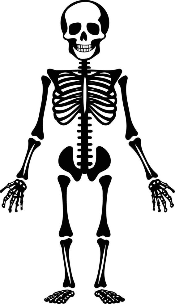 A simple, black and white illustration of a human skeleton, standing upright with a friendly smile vector