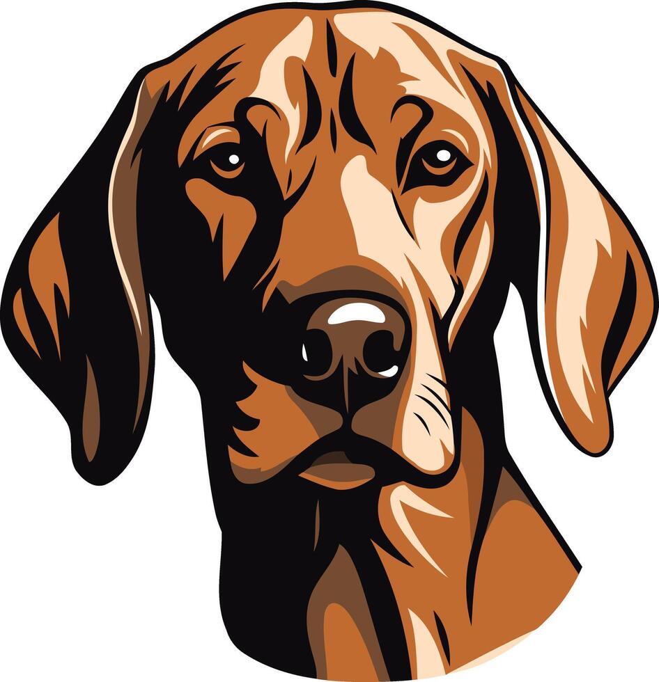 Close-up portrait of a majestic vizsla dog, showcasing its intelligent and loyal expression vector