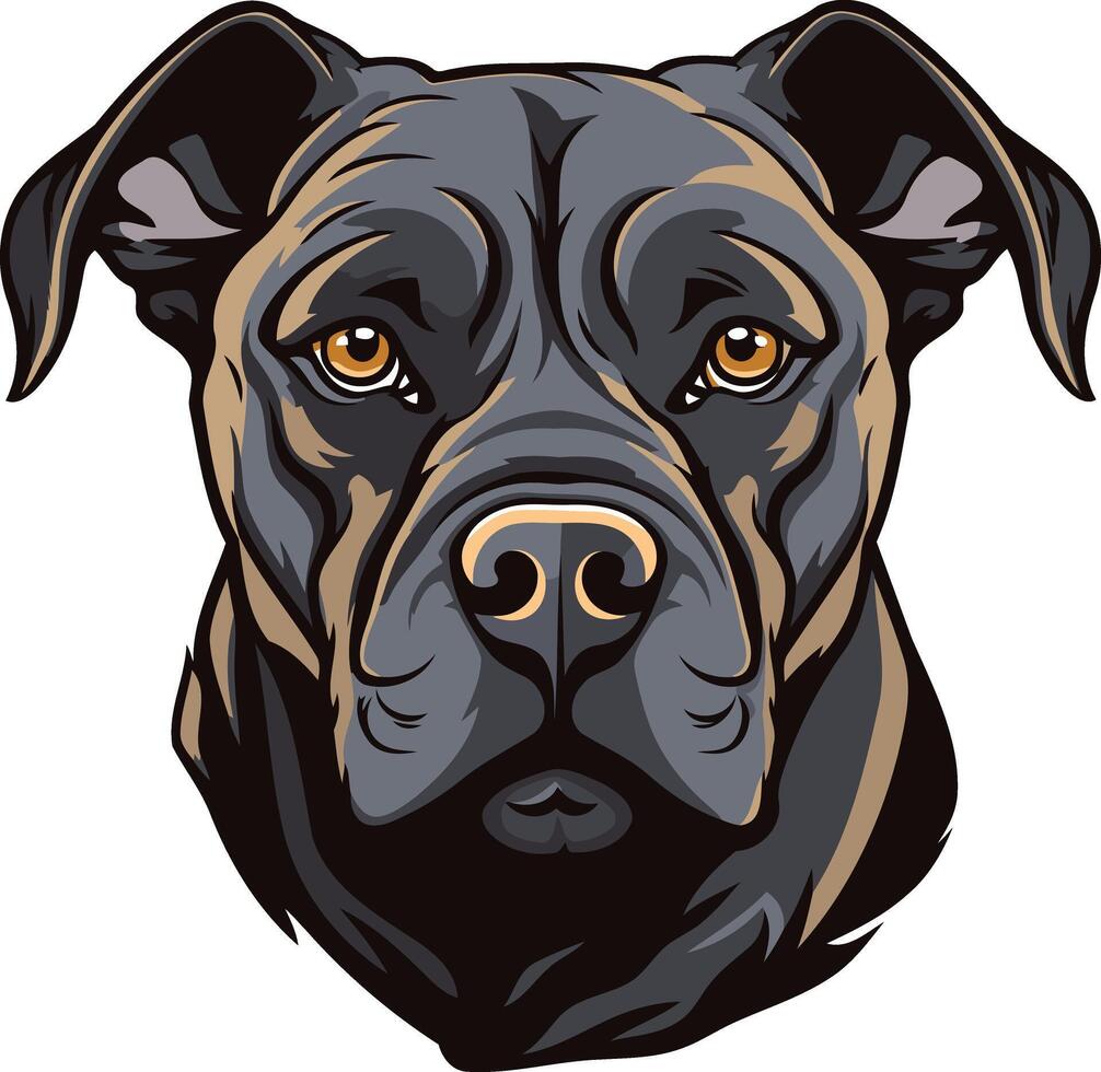 Close-Up Portrait of a Black Pit Bull vector