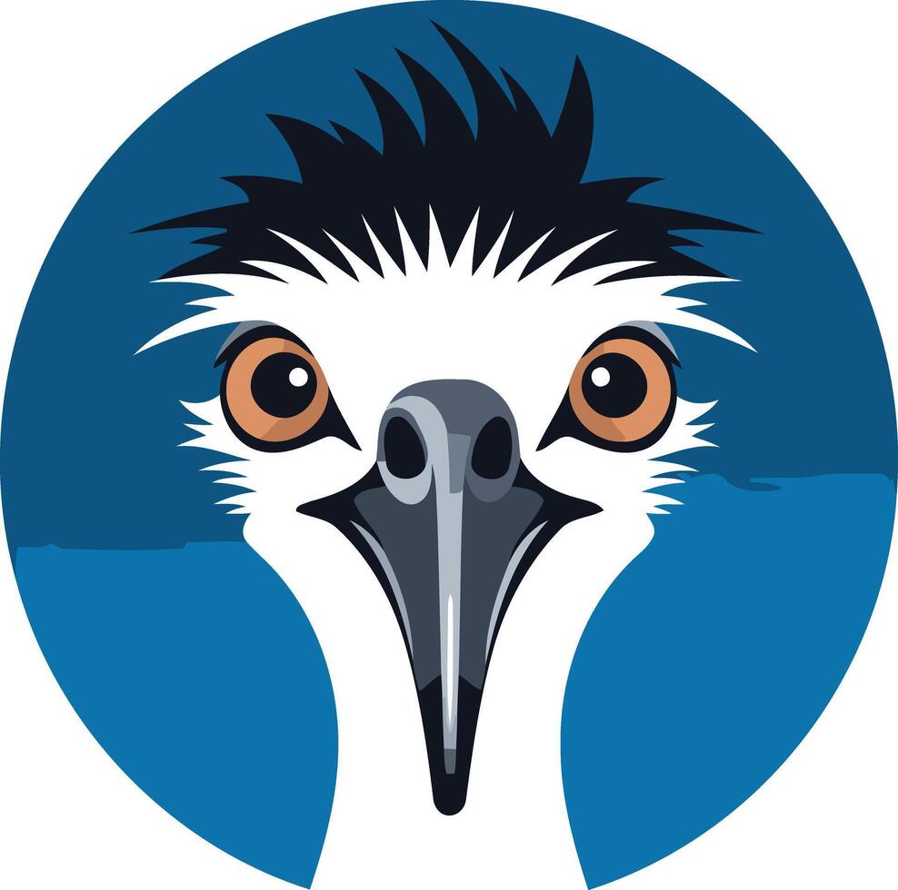 Close up Portrait of an Ostrich vector
