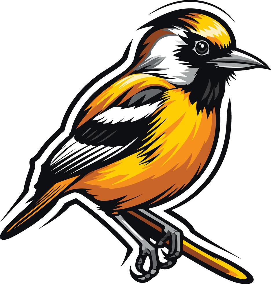 A bold and vibrant illustration of a baltimore oriole, perfect for nature themed designs, logos, and branding vector