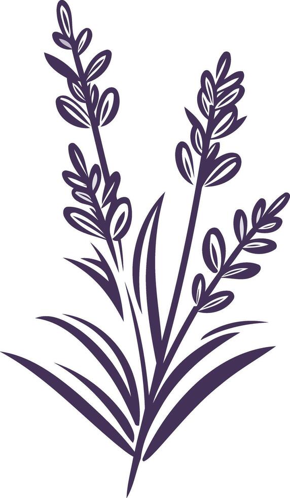 A simple and elegant illustration of lavender flowers, perfect for branding, logos, and design projects vector