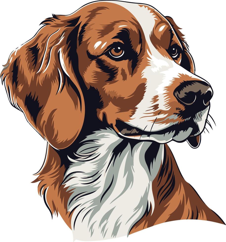 Portrait of a Red and White Dog vector