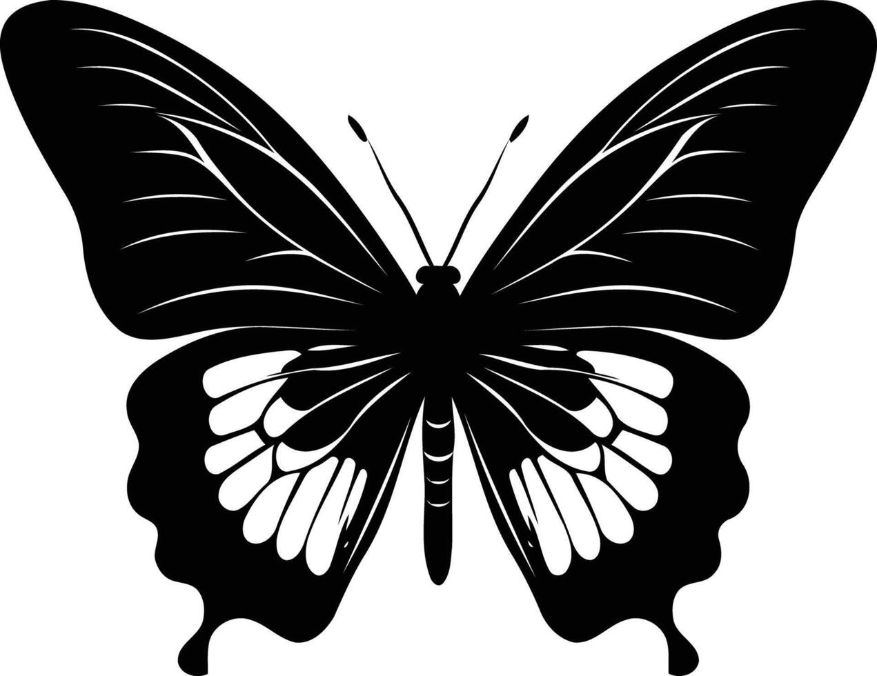 Elegant black and white silhouette of a butterfly with intricate wing details vector