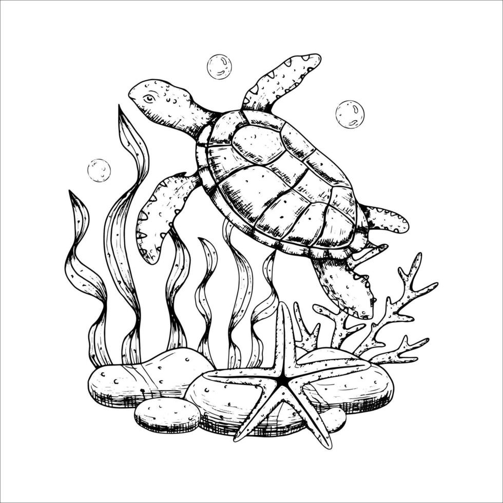 Sea composition with corals, stones, starfish, turtle. Underwater world. illustration isolated on white background. vector
