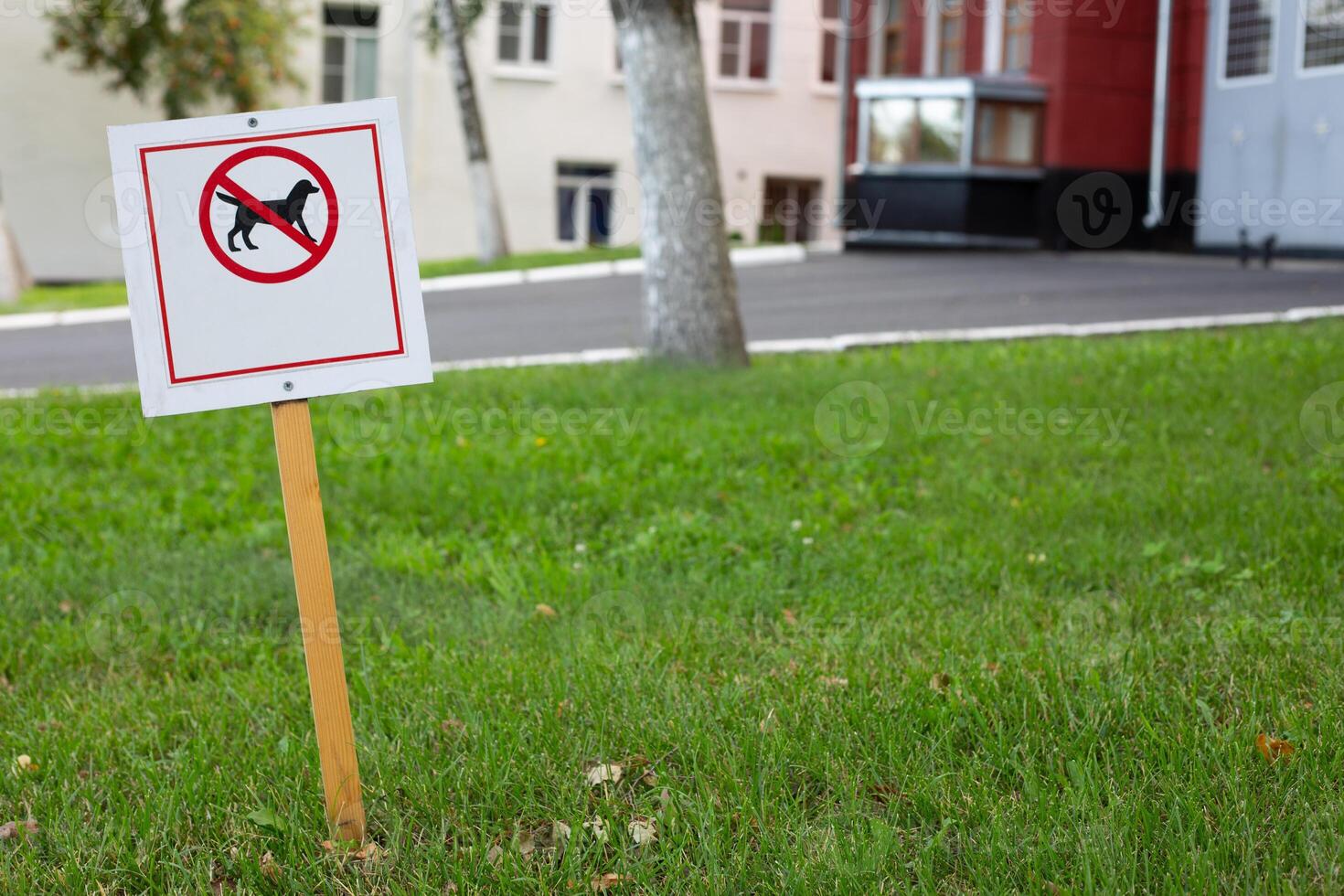 Sign prohibiting dogs from walking on lawn is stuck in ground. Special area restricting walking with dogs. Prohibition sign for dog owners photo