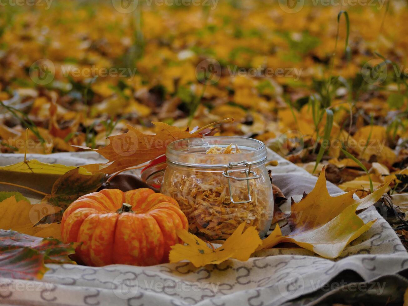 Design autumn outdoors still life flatlay. Autumn Halloween picnic concept. Pumpkin, dried flowers in a jar and fallen yellow leaves on a blanket on the grass. Warm sunny autumn day photo
