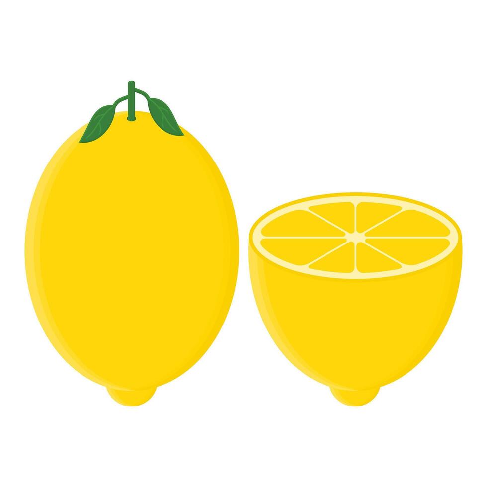 Natural Fruit Fresh Lemon. Yellow Lemon Sliced in Half. Ripe Lemon. vector