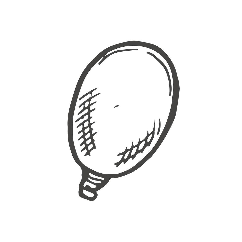 Line art single grape illustration vector