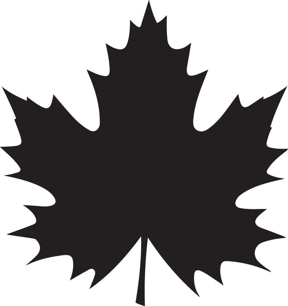 Maple leaf Silhouette Illustration vector