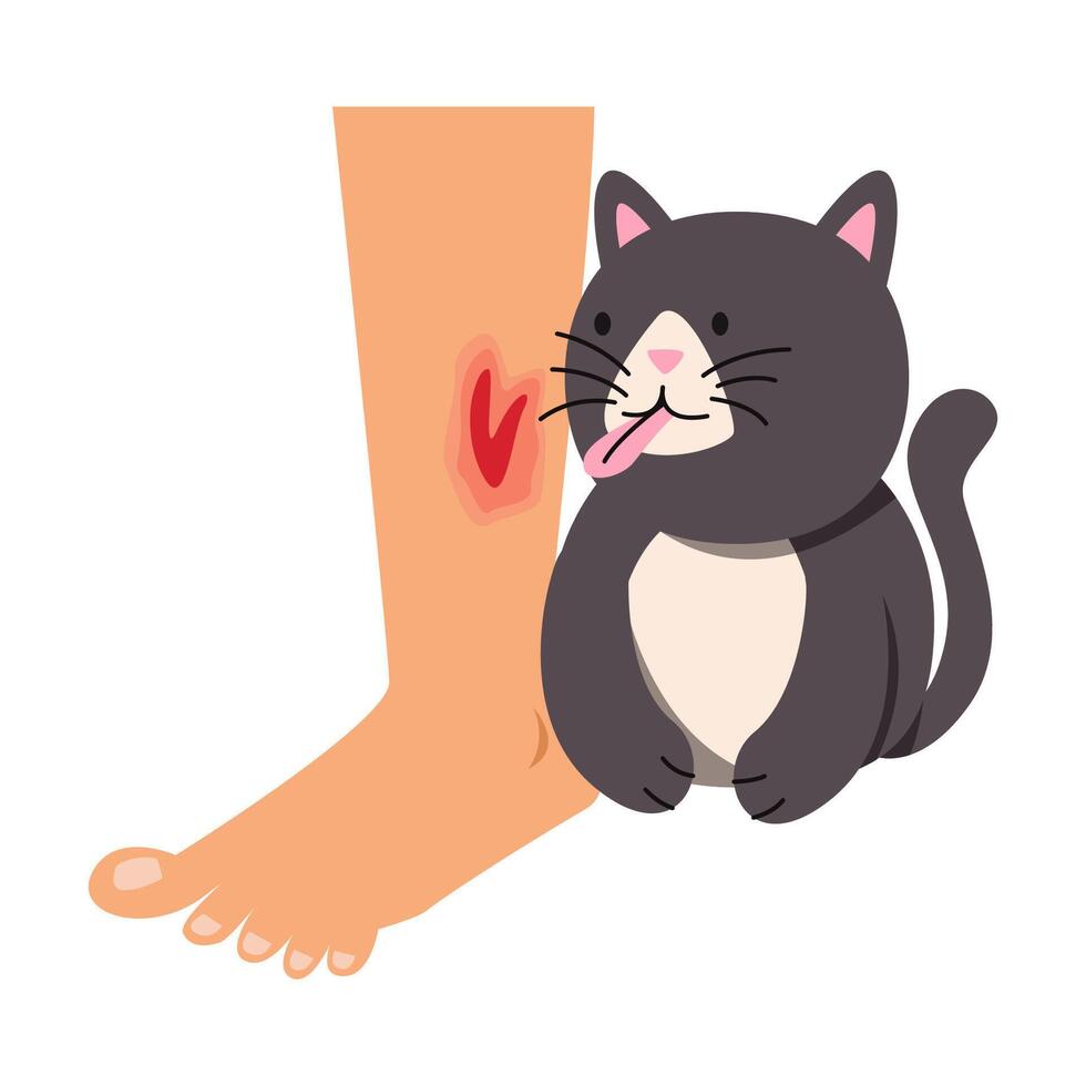 cat, dog to bite lick and scratch. rabies vaccine prevention vector