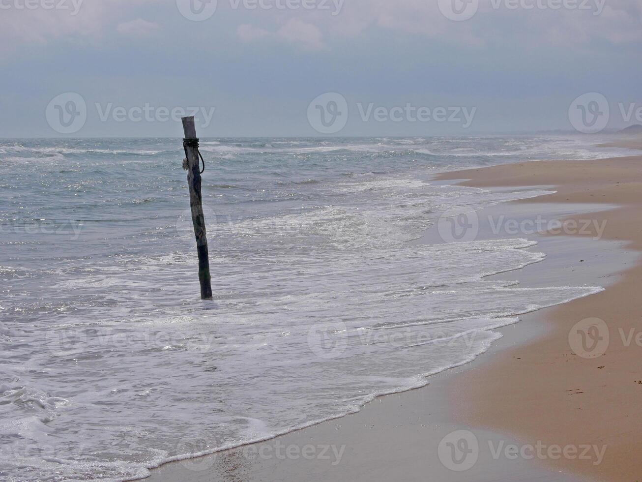 A stick to which boats are tied in the sea on the Skagen beach, Denmark photo