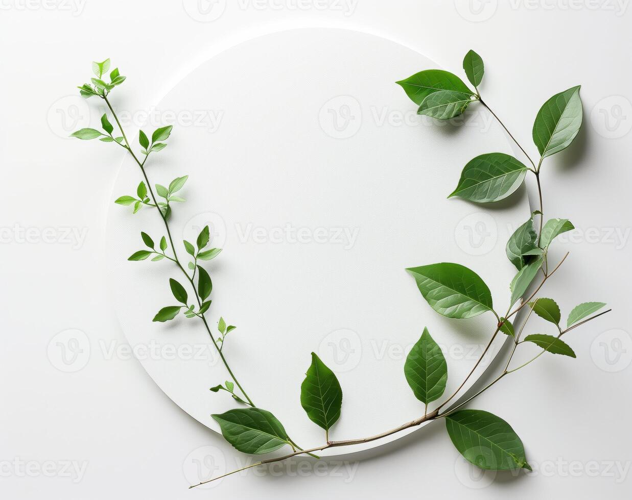 Minimalist Design With Green Leaves on a White Circular Background photo