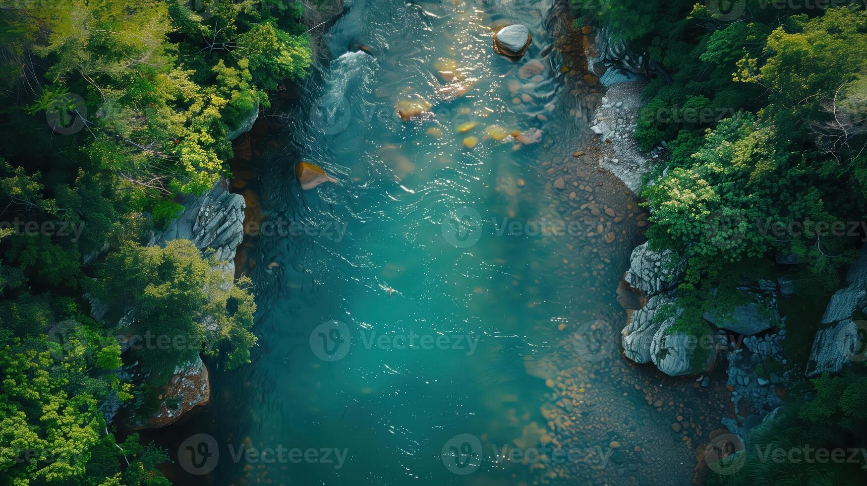 Aerial View of a Spinning Trout in a Pristine Mountain River Surrounded by Lush Greenery photo
